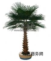 �����Aʢ�D�ؙ��亣������ؙ���r��