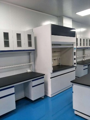 供應(yīng)北流通風(fēng)柜-實(shí)驗(yàn)室通風(fēng)櫥-玉林實(shí)驗(yàn)室設(shè)備公司