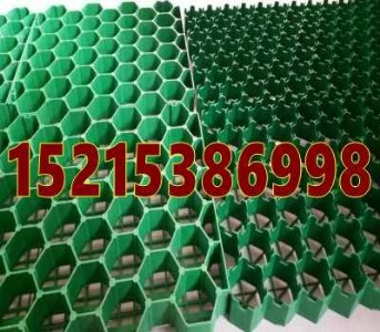 瑞安植草格/瑞安地下車庫排水板