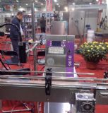 �|��(y��u)�r��ȫ�ԄӇ��a�C-�����M���|�����χ��a�C-���ϼ���