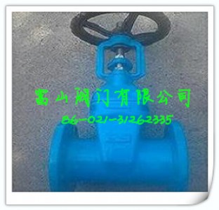 臺灣富山不銹鋼明桿閘閥FS031