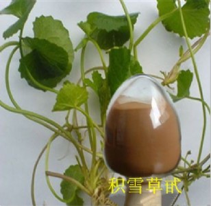 �����eѩ�ݿ��ա��eѩ����80�� �eѩ����ȡ��