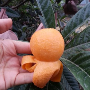 �������˘��繩�����������˘������l���������˘������