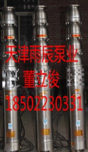 雨辰泵業生產大流量高揚程不銹鋼潛水排污泵