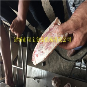 �i������C ���P��i������C 250���i������C